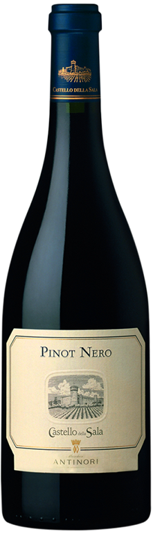 Image of Pinot Nero. Castello della Sala  75 CL