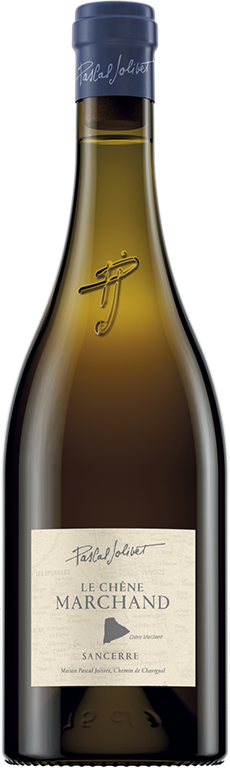 Image of Sancerre ,,Le Chêne Marchand". Pascal Jolivet 75 CL